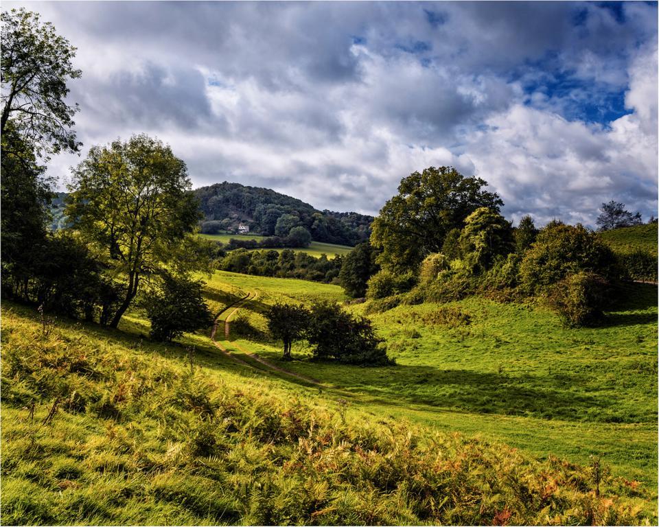 Owlpen Manor Cottages Uley Buitenkant foto